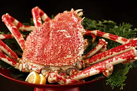 Ajiwai No Yado Tokiwaya