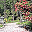 Bed and Breakfast Casa Locarno