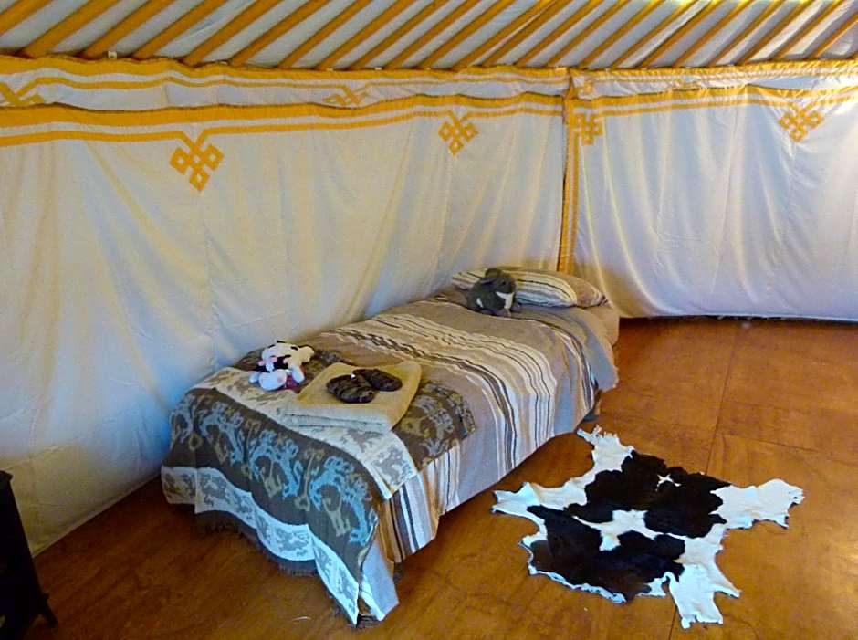 Wacky Stays - unique farm-stay glamping rentals, FREE animal feeding tours