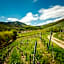 Chambre du Vigneron - Domaine Léon BLEESZ