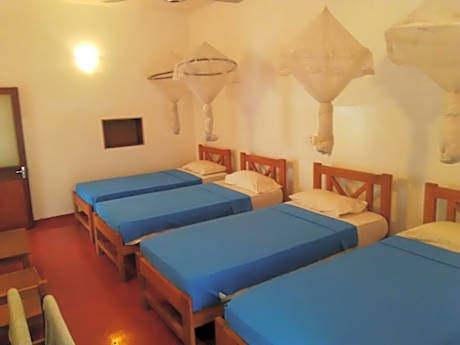 4-Bed Mixed Dormitory Room