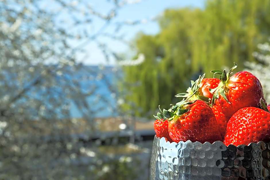 Pilgerhof und Rebmannshof