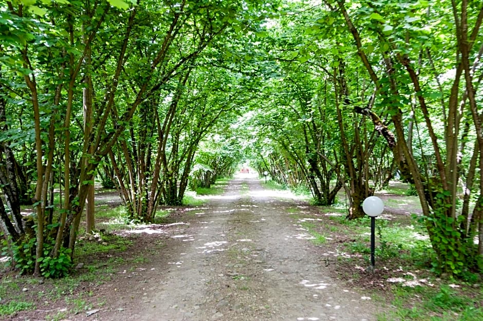 La Finestra sul Lago
