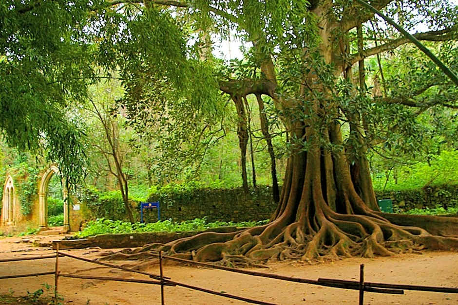 Hotel Quinta Das Lagrimas - Small Luxury Hotels