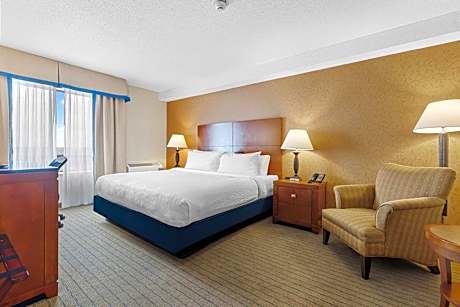 Executive King Suite