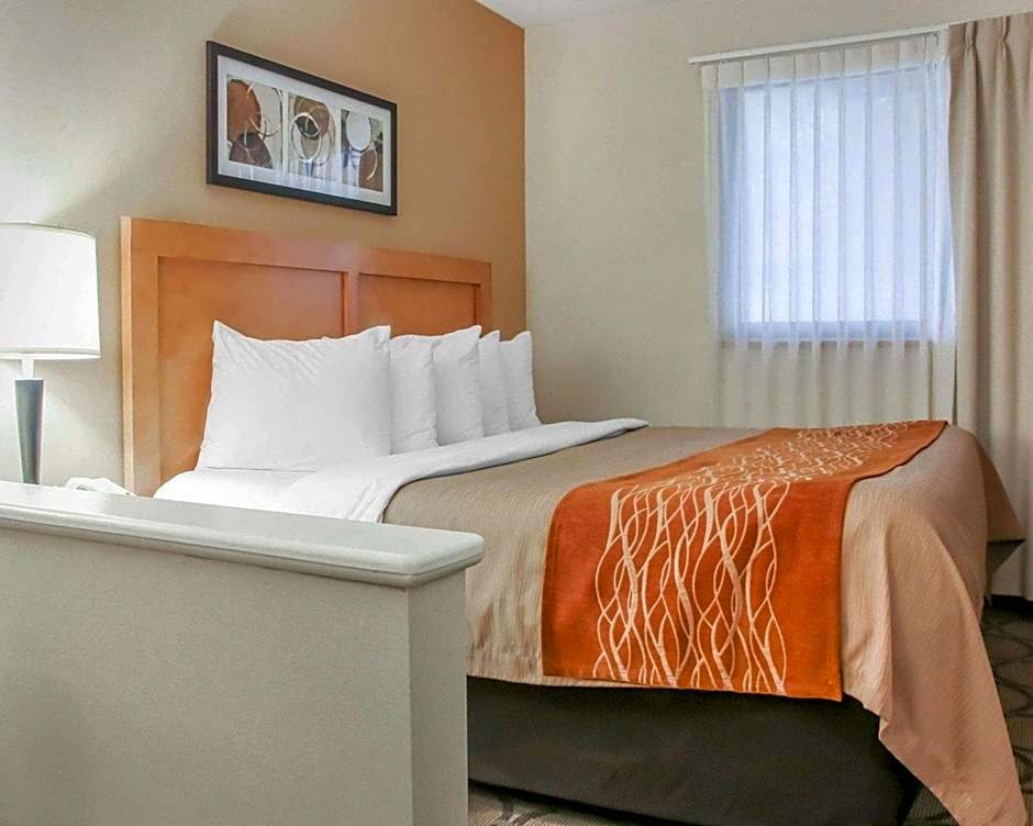 Comfort Inn South
