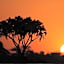Sarova Shaba Game Lodge