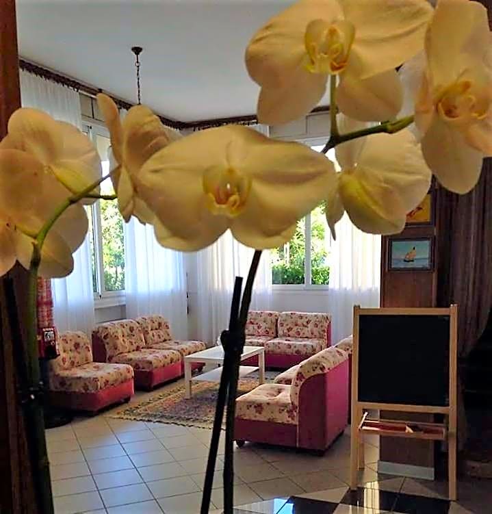 Hotel Primula