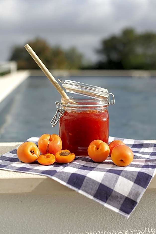 Mercedes Country House