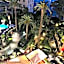 Hotel Metropole