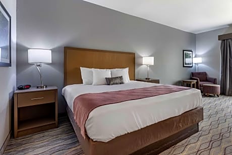 Accessible - 1 King, Mobility Accessible, Communication Assistance, Roll In Shower, Non-Smoking, Ful