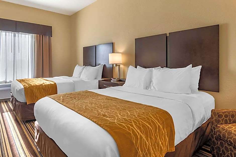 Comfort Inn & Suites Triadelphia - Wheeling