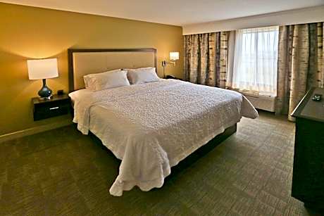 1 KING BED 1 BEDROOM SUITE NONSMOKING HDTV/FREE WI-FI/LIVING ROOM/ HOT BREAKFAST INCLUDED