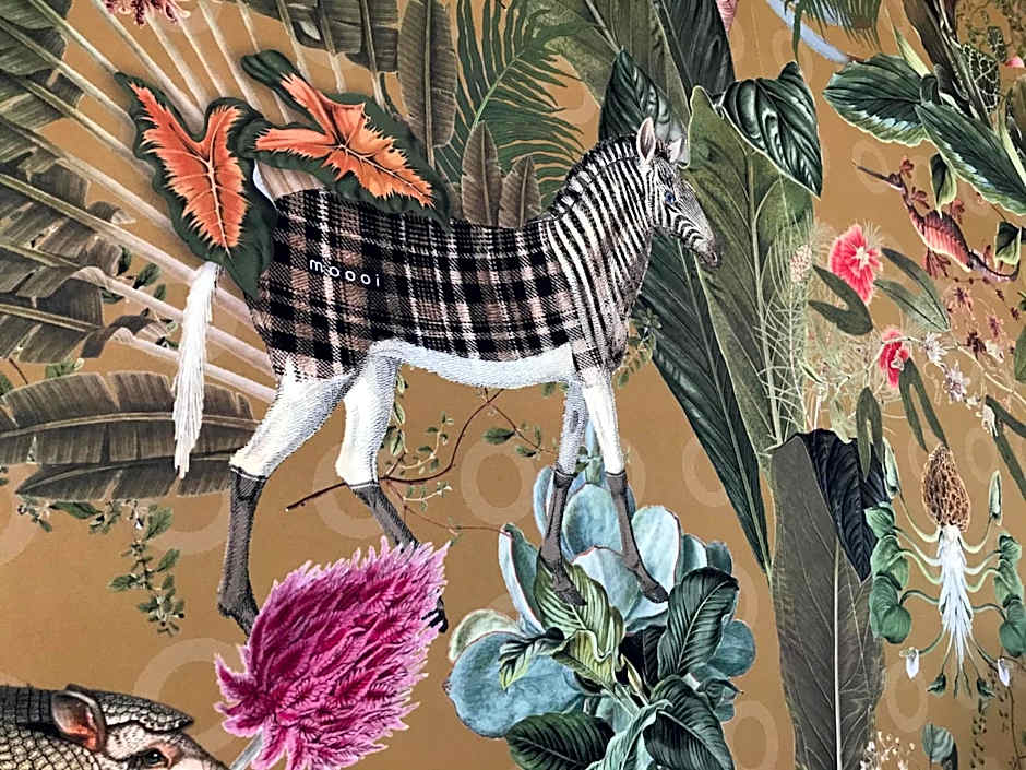 Maison Caju - La Rochelle