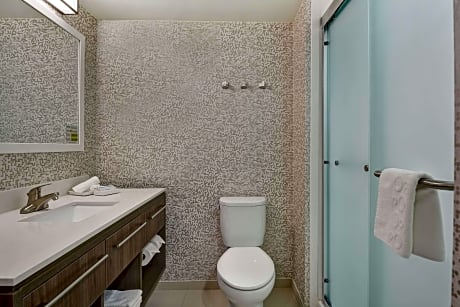 1 King Bed Studio Suite Nonsmoking