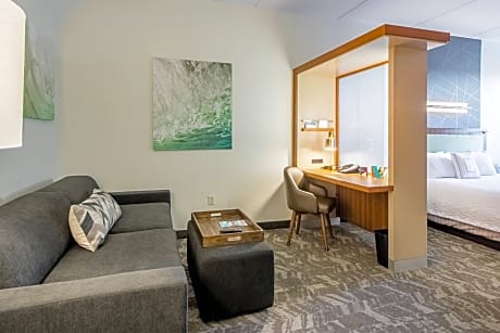 SpringHill Suites Tampa North/Tampa Palms