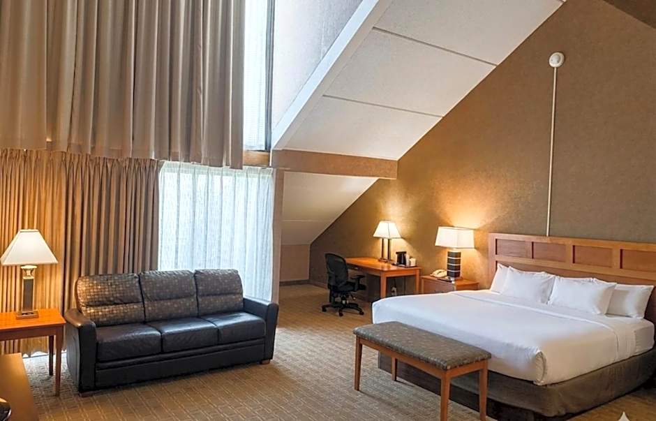 Photo 1 of 7 of Deluxe 1 King Bed Suite