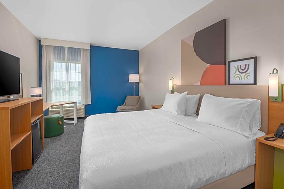 Spark by Hilton Minot