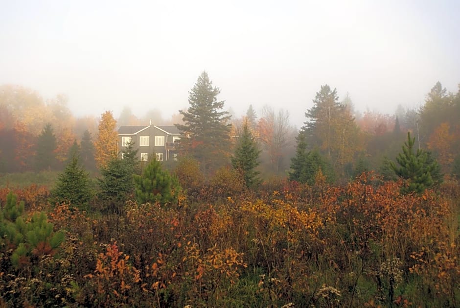Top of Algonquin Bed and Breakfast