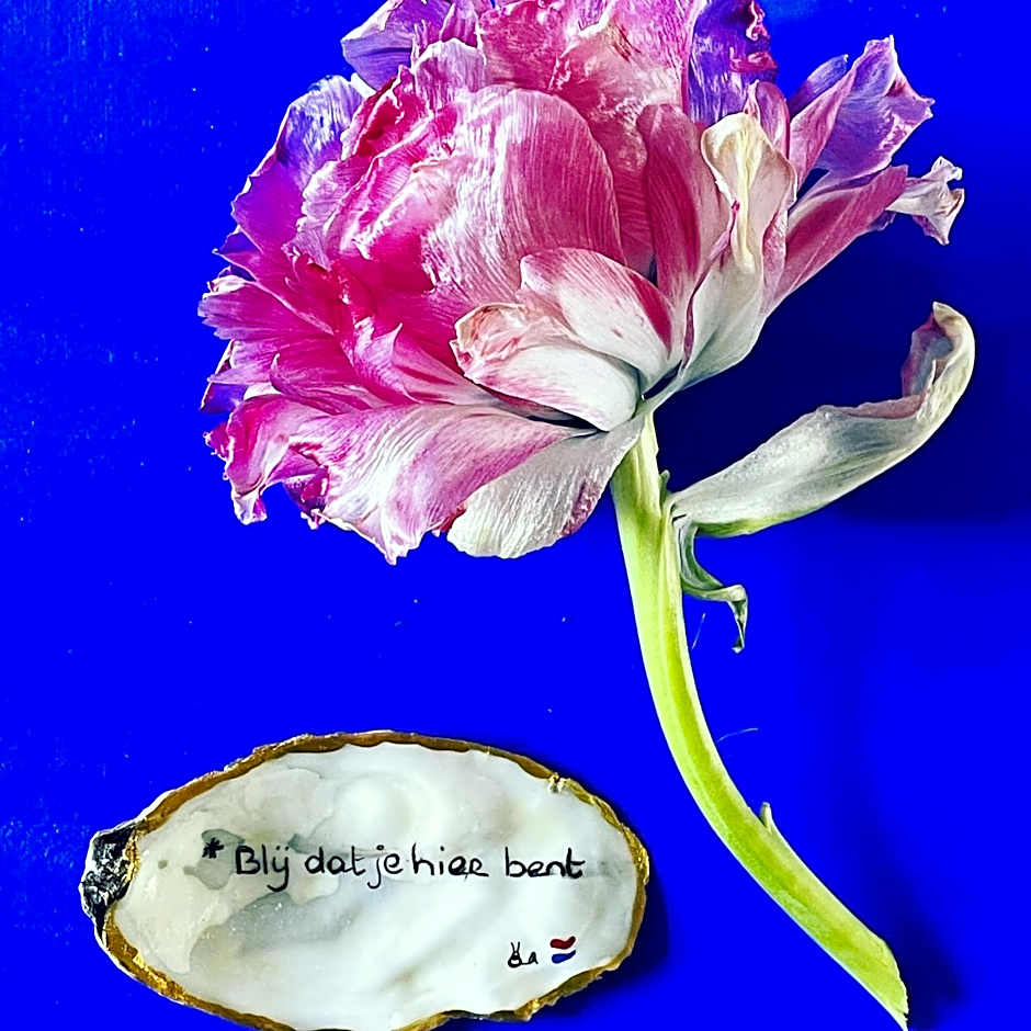 B&B Montancourt-Middelburg