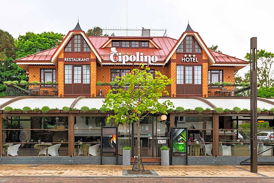 Cipolino
