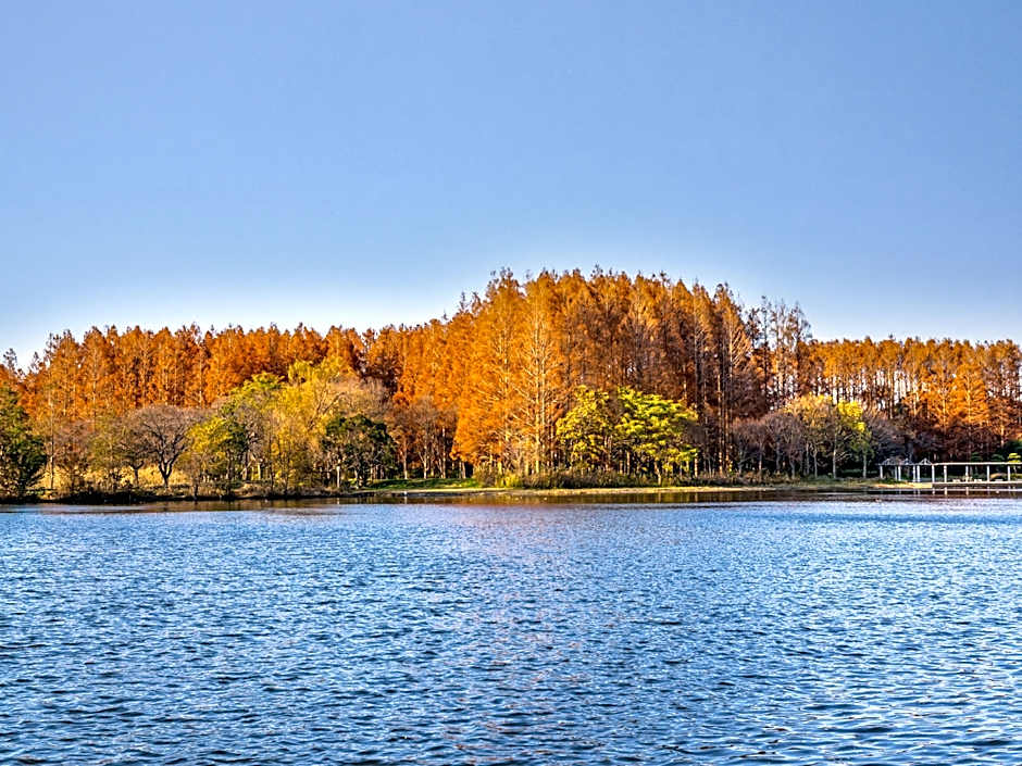 Toyoko Inn Yashio Ekimae