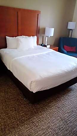1 Queen Bed, Mobility and Hearing Accessible Room, Roll-In Shower, Non-Smoking