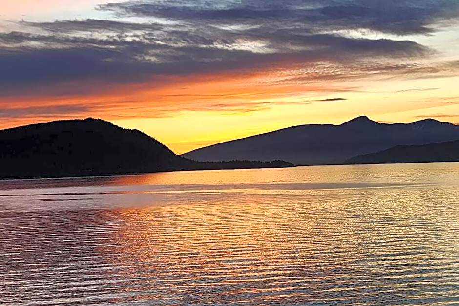 Dream House -Water Lily