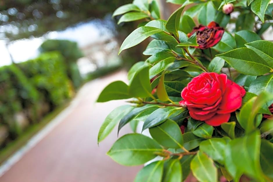 Na' Poesia B&B di Charme