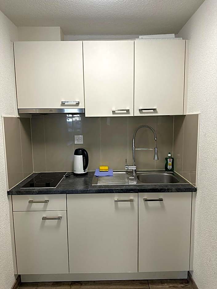 Swiss Chalet Holidays Ringgenberg