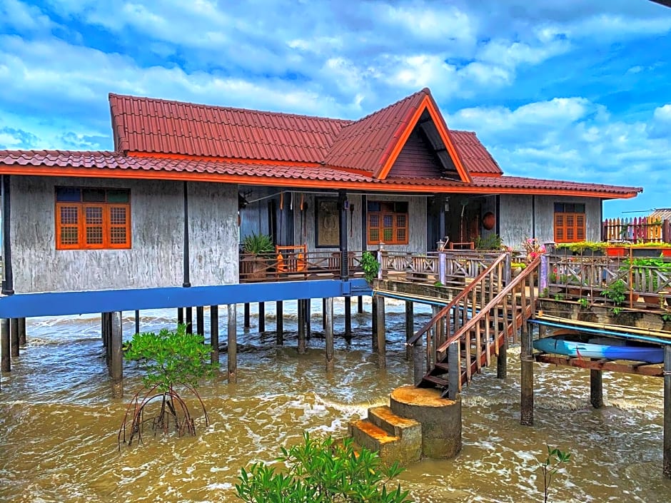 The mangrove old town