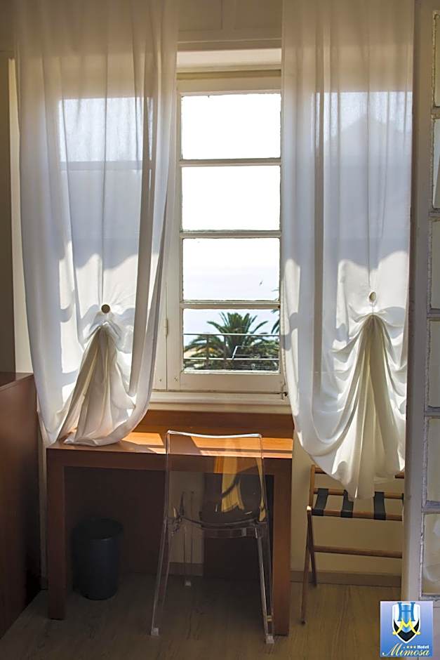 Hotel Mimosa