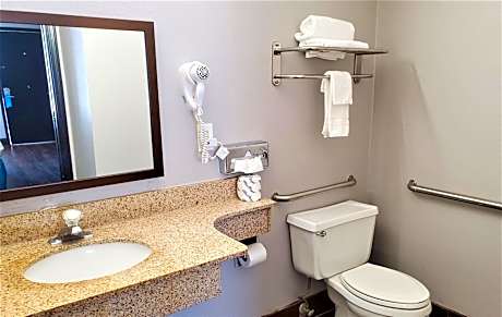 King Room - Disability Access/Non-Smoking