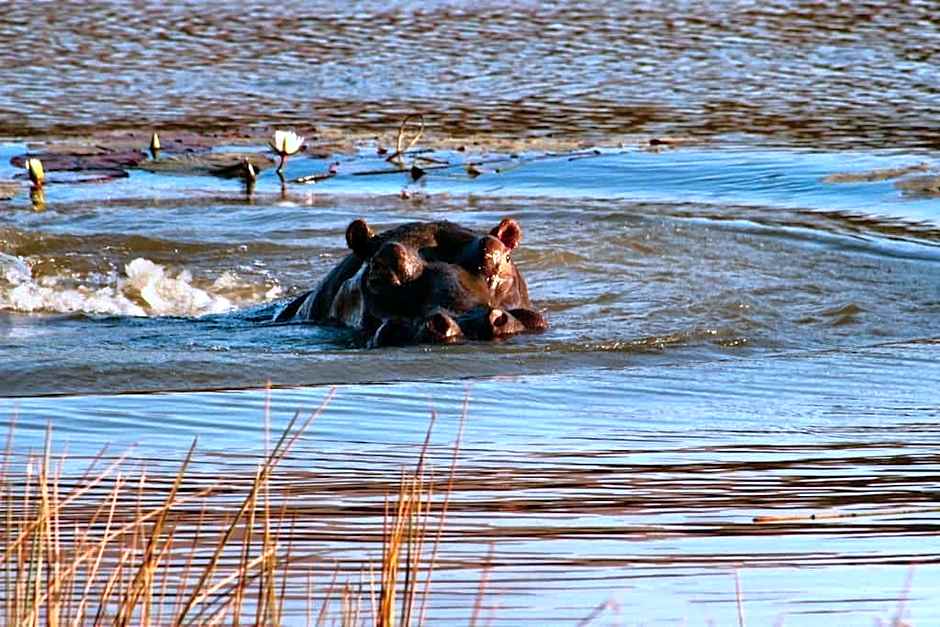 Twin Thorns Guesthouse