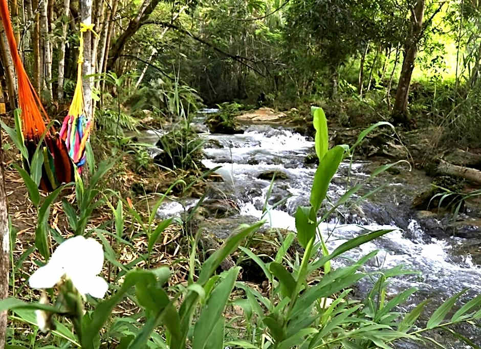 Reserva Ecologica Vive Copalitilla