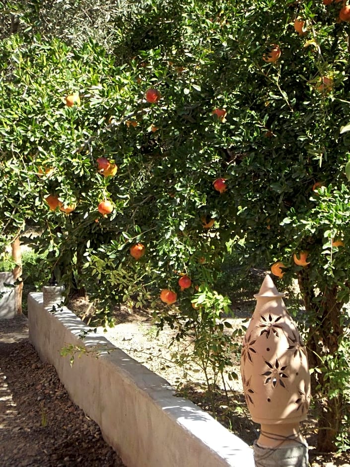 LE JARDIN DES GRENADIERS