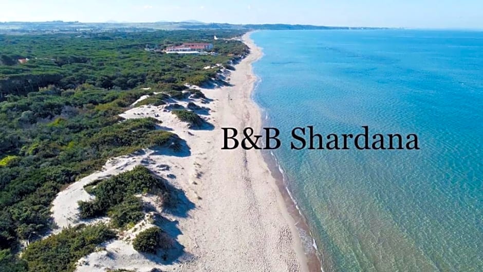 B&B SHARDANA