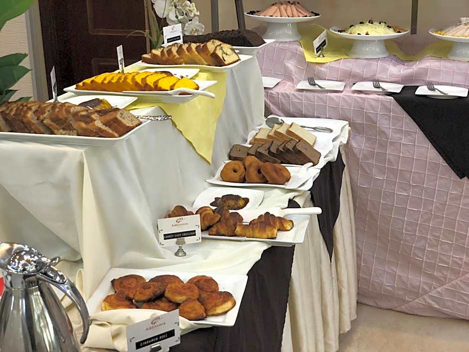 Addissinia Hotel