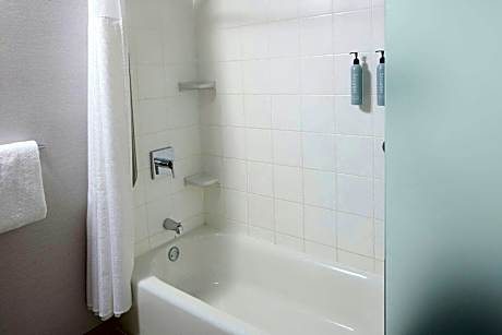 Suite, 1 Bedroom (1 King Bed and 1 Double Sofa Bed)