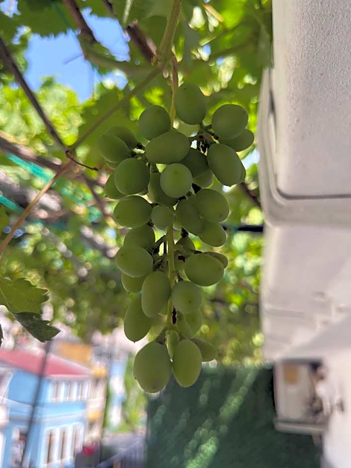 Taksim Neo Pera Suites