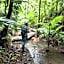 Daintree Siesta