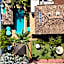 Hotel Casa Paradiso Guarujá