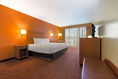 SUITE-1 KING BED,NSMK,HI SPEED,SOFABED,MICRFG,COFMKR,IRON,FULL BREAKFAST