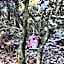 Rifugio Retreat Bed&Breakfast