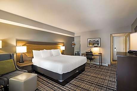 Junior Suite with King Bed - Non-Smoking