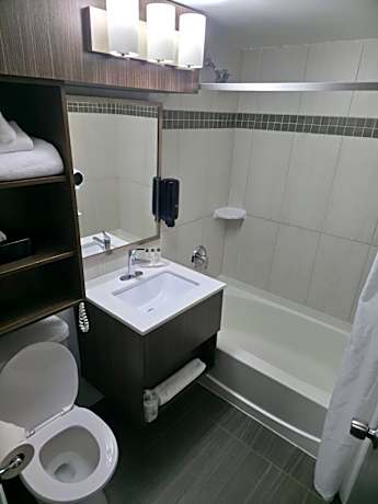 King Room - Pet Friendly/Non-Smoking