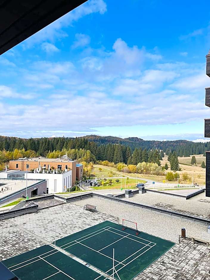 Mountain Nest in Silver Mountain Poiana Brasov