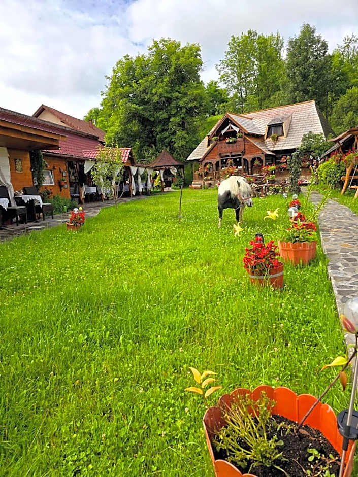 Pensiunea Rustic Oncesti