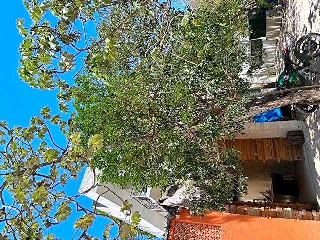 Studio w/Plunge Pool & Kitchen