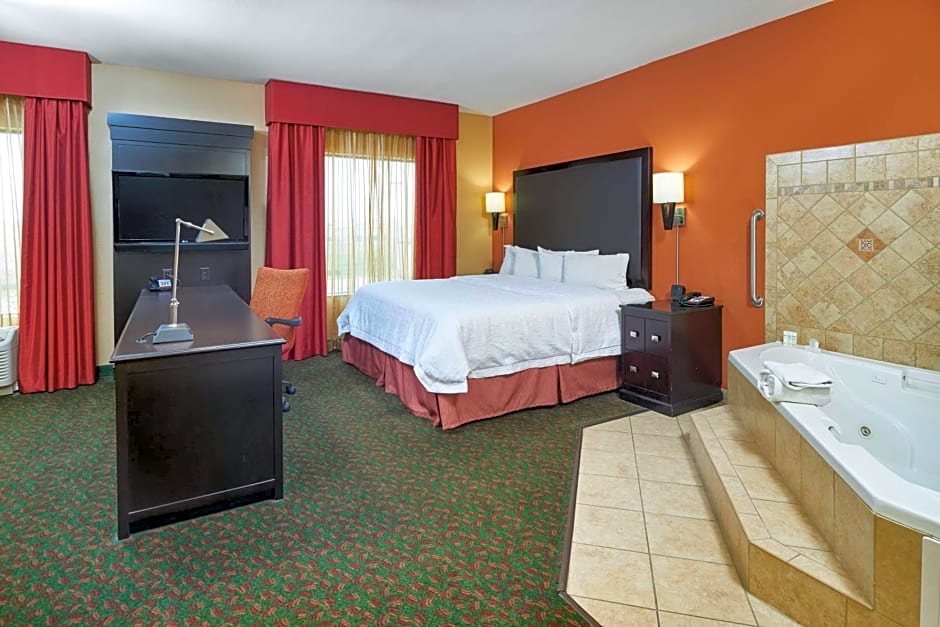 Hampton Inn By Hilton And Suites Waco-South